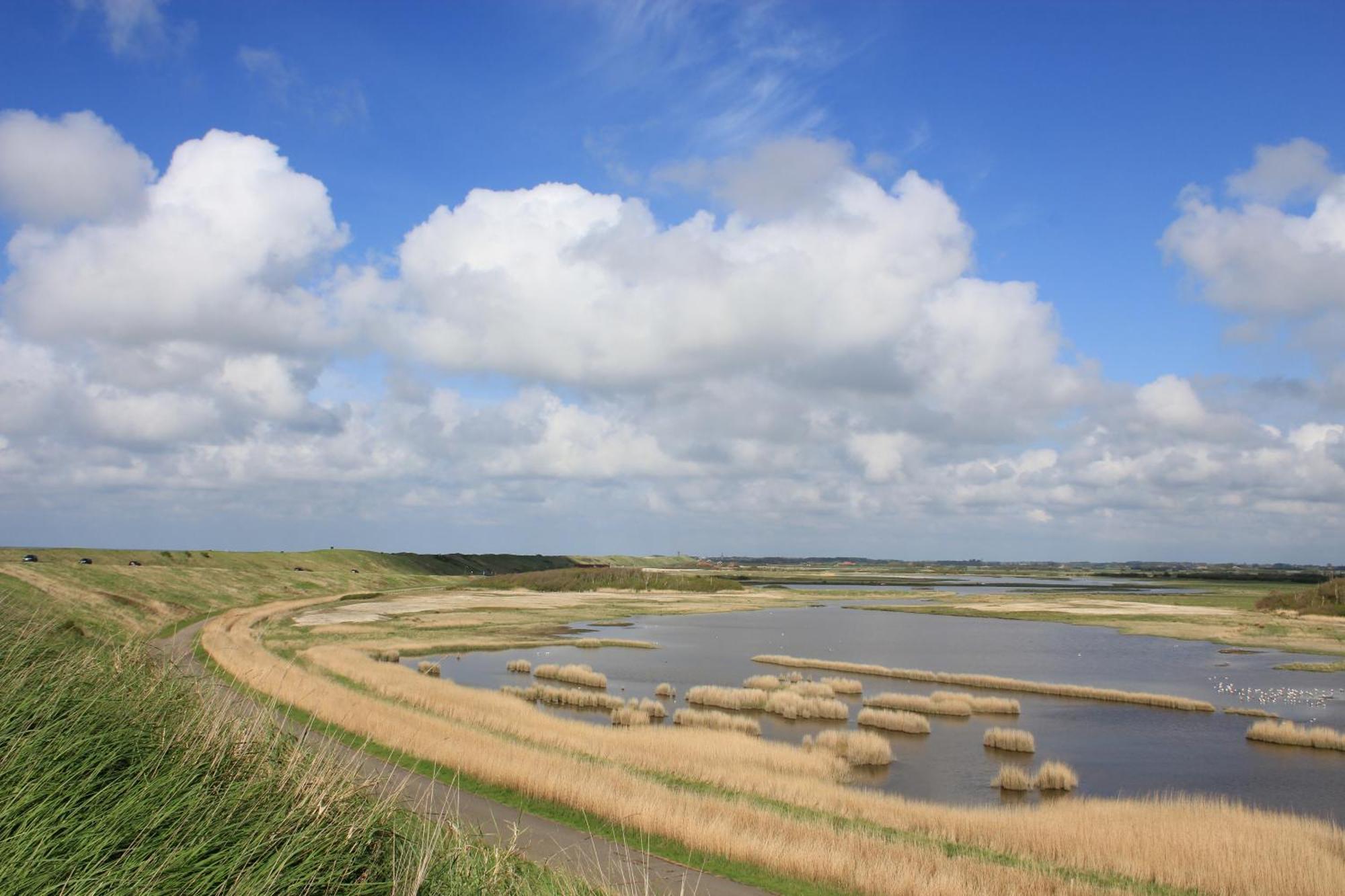 107,5 Nieuw Appartement Met Sauna Westkapelle Buitenkant foto